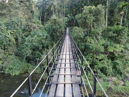 Sri Lanka - Explore Wild Nature, Virgin Beautiful Beaches, Tips and Recommended Hotels
